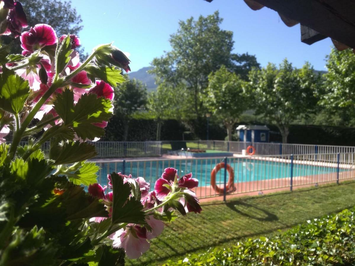 Camping El Pinajarro Hervás المظهر الخارجي الصورة